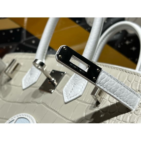 Hermès Sac Faubourg Birkin 20 White Matte Alligator Palladium Hardware