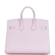 Hermès Birkin 25 Mauve Pale Epsom Handbag 