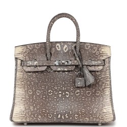 Hermès Birkin 25 Ombre Varanus Salvator Lizard  Handbag 