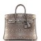 Hermès Birkin 25 Ombre Varanus Salvator Lizard  Handbag 