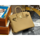 Hermès Birkin 25 Biscuit Togo Handbag 