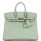 Hermès Birkin 25 Vert D'Eau Matte Alligator Handbag 