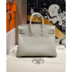 Hermès Birkin 25 Beton Matte Alligator and Togo Touch Handbag 