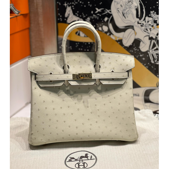Hermès Birkin 25 Nata Ostrich Handbag 