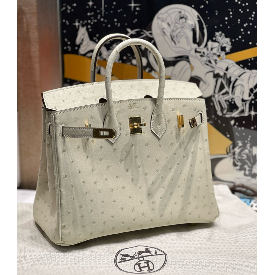 Hermès Birkin 25 Nata Ostrich Handbag 