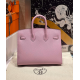 Hermès Birkin 25 Mauve Sylvestre Epsom Handbag 