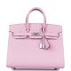 Hermès Birkin 25 Mauve Sylvestre Epsom Handbag 